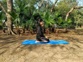 Young Indian woman practicing yoga outdoor in a park. Beautiful girl practice basic yoga pose. Calmness and relax, female happiness. Basic Yoga poses outdoor photo