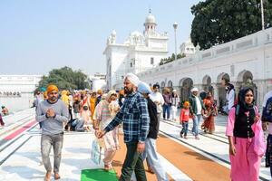 amritsar, India - febrero 26 2023 - no identificado devotos desde varios partes a dorado templo harmandir sahib en amritsar, Punjab, India, famoso indio sij punto de referencia, dorado templo foto