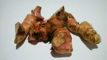Galangal or laos are types of root crops that can live in the highlands and lowlands. Galangal is a type of spice that is widely grown in Indonesia. Isolated white photo