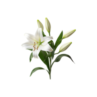påsk vit lilja ai genererad png