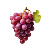 purple grapes with green leafs ai generated png