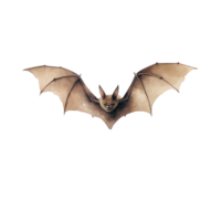 a minimal watercolor painting of bat in a nature ai generated png