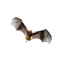 bat flaying in t ai generated png