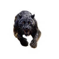 zwart panter hond ai beledigd png