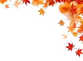 Autumn leaves isolated png