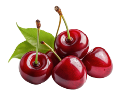 Red cherries isolated png