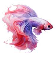 hermosa siamés pescado aislado png