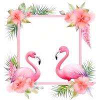 Watercolor flamingo frame isolated png