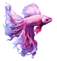 hermosa siamés pescado aislado png