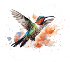 Flying hummingbird isolated png