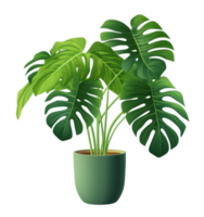 planta monstera verde em vaso png