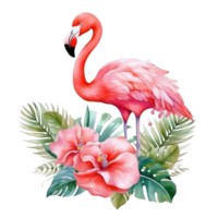 schattig waterverf flamingo met tropisch bloemen geïsoleerd png