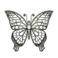 Stained Glass Butterfly Coloring Page photo