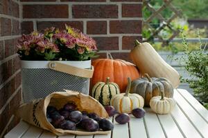 Autumn still life with seasonal fruits, vegetables, flowers and colorful pumpkins and ripe plums. Selective focus. photo