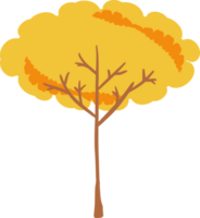 The autumn tree png image