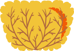 de herfst boom PNG beeld