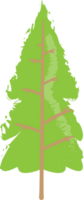 The tree png image