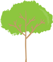 The tree png image