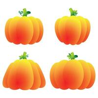 The pumpkin for Thanksgiving day concept vector