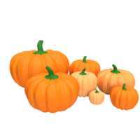 The pumpkin for Thanksgiving day concept png image