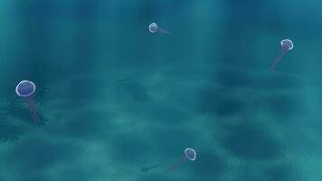 3D render animation of jellyfish floating in ocean video