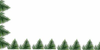 minimalista verde palma hojas frontera marco en blanco fondo, verde fondo, verde hojas borde, frondoso borde, naturaleza verdor hojas marco, botánico hojas borde, naturaleza presentación diapositiva foto