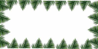 Tropical green palm leaves border frame on white background, green background, green leaves border, Leafy Border, Nature Greenery leaves frame, Botanical leaves border, nature presentation slide photo