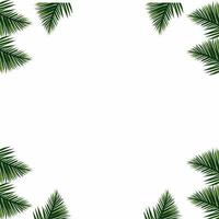 Tropical green palm leaves border frame on transparent background, foliage border background, green leaves background, green background, green leaves border, Leafy Border photo