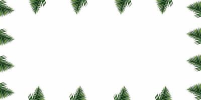 minimalista verde palma hojas frontera marco en blanco fondo, verde fondo, verde hojas borde, frondoso borde, naturaleza verdor hojas marco, botánico hojas borde, naturaleza presentación diapositiva foto