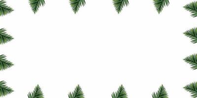 Minimalistic green palm leaves border frame on white background, green background, green leaves border, Leafy Border, Nature Greenery leaves frame, Botanical leaves border, Nature presentation slide photo
