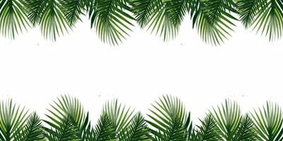 Minimalistic green palm leaves border frame on white background, green background, green leaves border, Leafy Border, Nature Greenery leaves frame, Botanical leaves border, Nature presentation slide photo