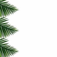 tropical verde palma hojas frontera marco en transparente fondo, follaje frontera fondo, verde hojas fondo, verde fondo, verde hojas borde, frondoso frontera foto