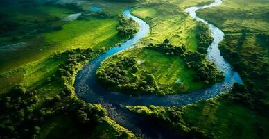 Panoramic top view of a winding river surrounded by dense forest and spacious fields with green grass - image photo