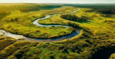 Panoramic top view of a winding river surrounded by dense forest and spacious fields with green grass - AI generated image photo