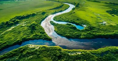 Panoramic top view of a winding river surrounded by dense forest and spacious fields with green grass - AI generated image photo