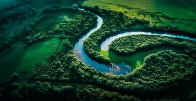 Panoramic top view of a winding river surrounded by dense forest and spacious fields with green grass - AI generated image photo