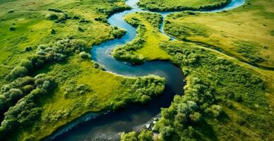 Panoramic top view of a winding river surrounded by dense forest and spacious fields with green grass - AI generated image photo