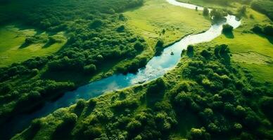 Panoramic top view of a winding river surrounded by dense forest and spacious fields with green grass - AI generated image photo