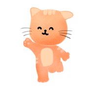 orange katt söt katt png