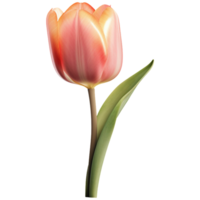 ai gerado 3d tulipa png