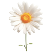 AI Generated 3D Daisy png