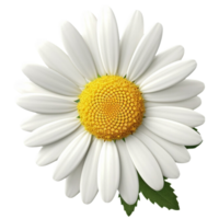 AI Generated 3D Daisy png