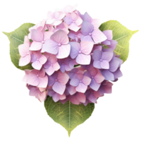 3D Hydrangea aesthetic png