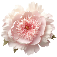 AI Generated 3D Peony png