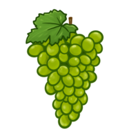 Illustrator of green grapes fruit png