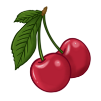 Illustration of cherry fruit png