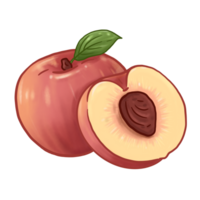 Illustration of peach fruit png