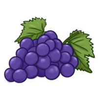ilustrador de uva Fruta png
