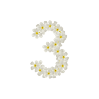 número 3 Tres hecho de flores frangipani o plumeria aislado. png