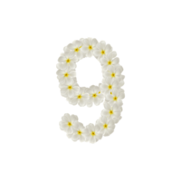 número 9 9 nueve hecho de flores frangipani o plumeria aislado. png